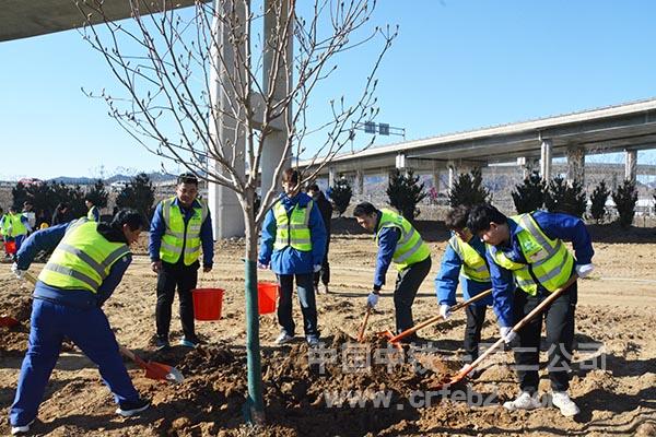 国道109项目青年职工参与植树